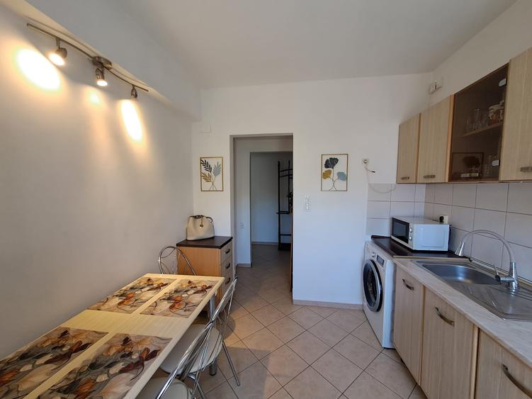 APARTAMENT ELEGANT SI SPATIOS ,2 CAM ROMANA, PIATA AMZEI - 8