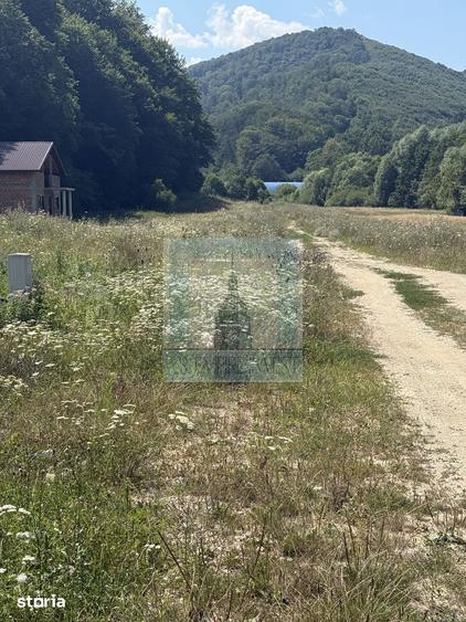 Teren de 500 mp, în Central