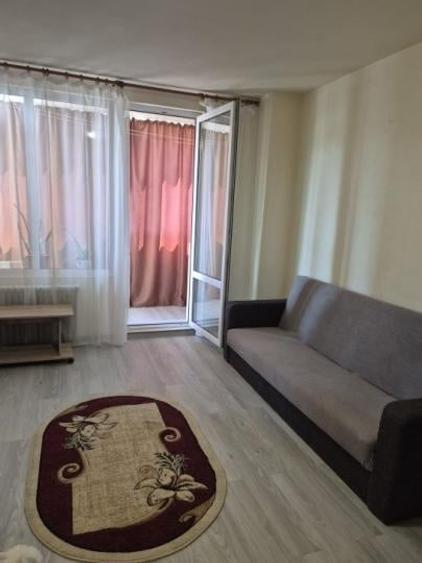 Închiriere Apartament 2 camere în Gara de Nord - 9