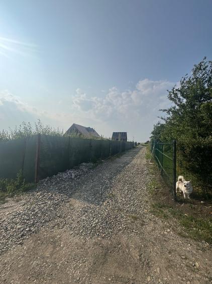 Teren de 500 mp, în Central
