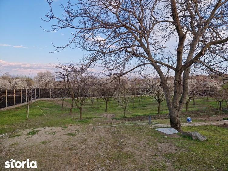 Casă cu 1 camere cu Teren 2000 Mp în Lăpuș Argeș