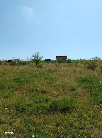 Spațiu comercial, în Chinteni