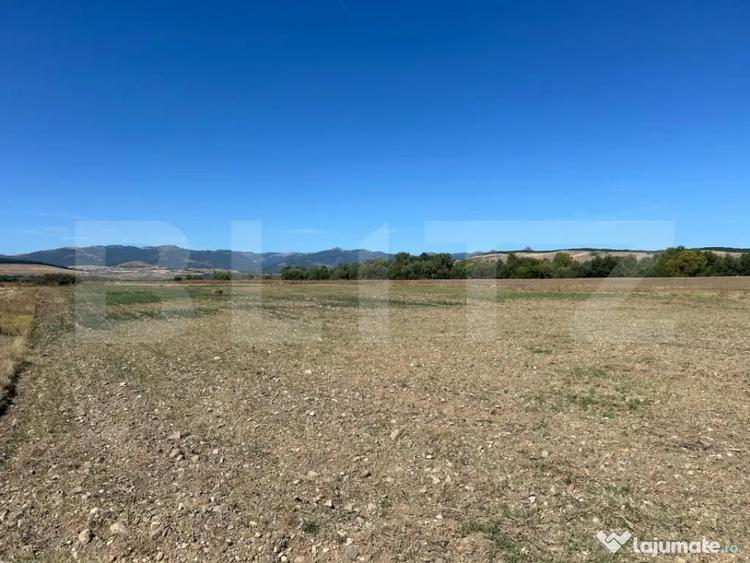 Teren agricol de vanzare, 5.000 mp, zona Barabant - Alba Iulia (Alba) - 1