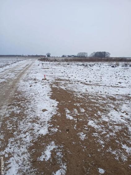 Teren de 5000 mp, în Cărpiniș