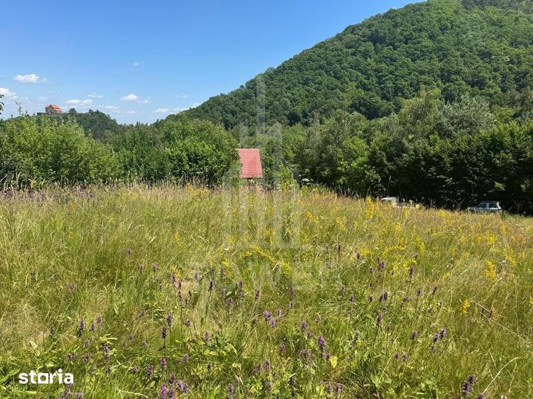 Teren de 4600 mp, în Central