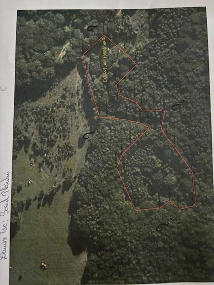 Teren de 155440 mp, în Luncani