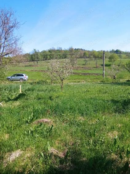 Teren de 1500 mp, în Vorța