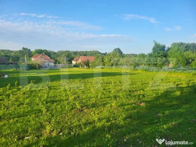 Casă cu 5 camere cu Teren 4079 Mp în Teiu