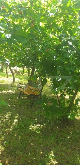 Teren Construcții intravilan de 1617 mp, în Gherla