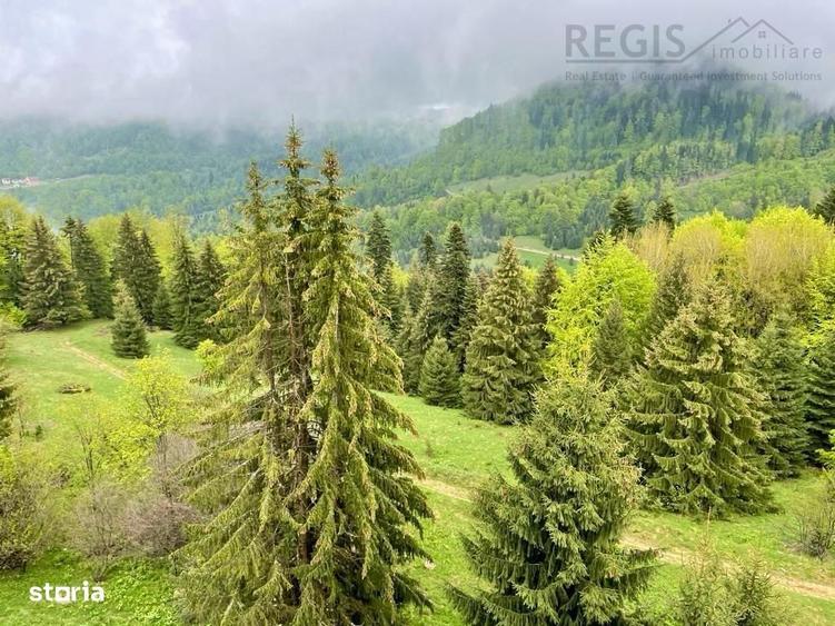 Spațiu comercial, de 1,650 mp, în Părău