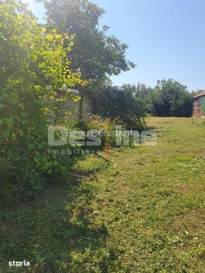 Teren intravilan de vanzare in Palazu Mare 517 mp, deschidere 20,14