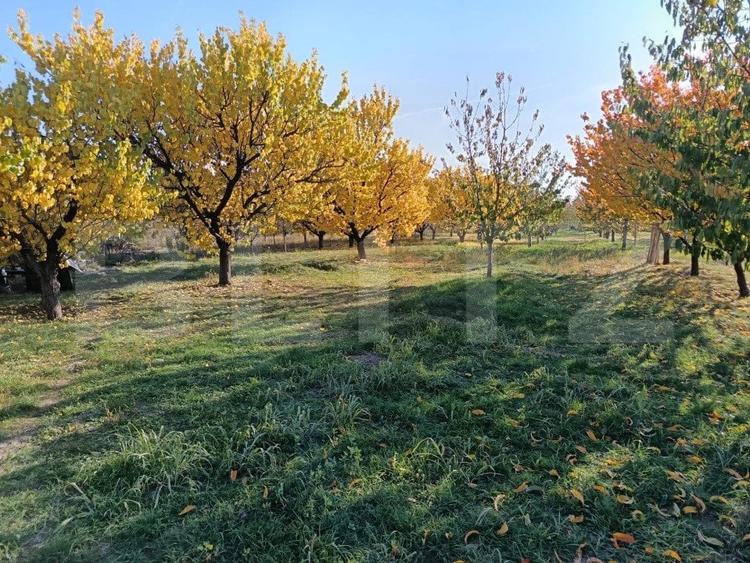 Teren Construcții intravilan de 3325 mp, în Măgurele