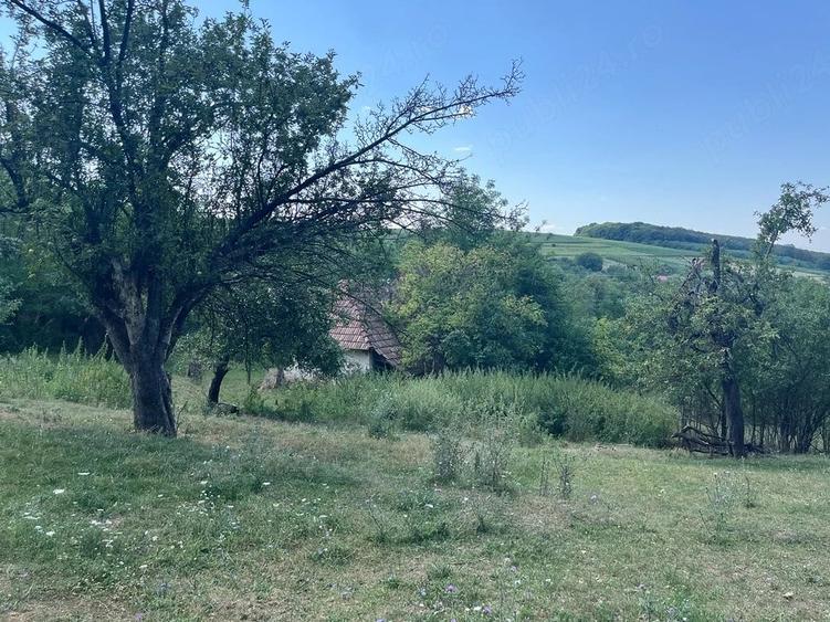 Teren de 2774 mp, în Silivașu de Câmpie