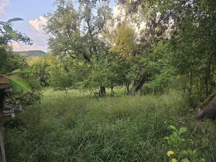 Vand teren intravilan in satul Vacarea, comuna Mihae?ti, in suprafa?a de 2.600 mp. - 4