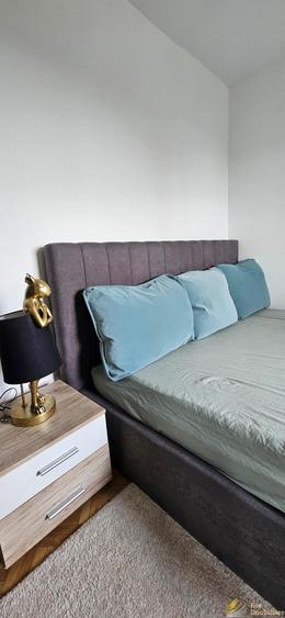 Apartament 2 camere de inchiriat Cismigiu - 6