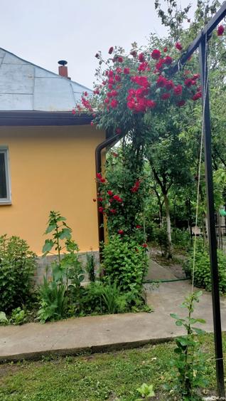 Casă cu 3 camere în Drăgășani