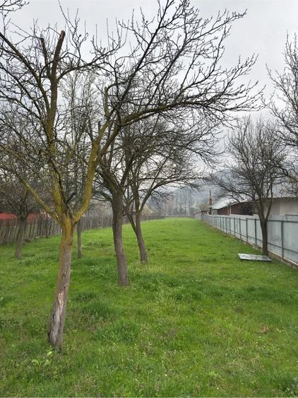 Teren de 2900 mp, în Central