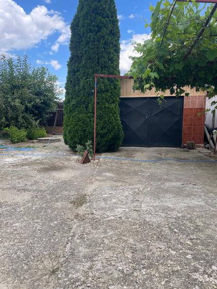 Casă cu 4 camere în Topliceni