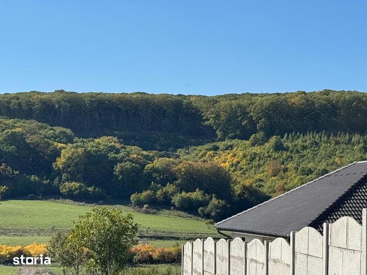 Teren intravilan in localitatea Betfia - 2