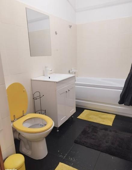 Apartament str Porii langa Profi/Annabella - 10