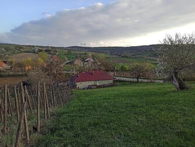 Casă cu Teren 4000 Mp în Arduzel