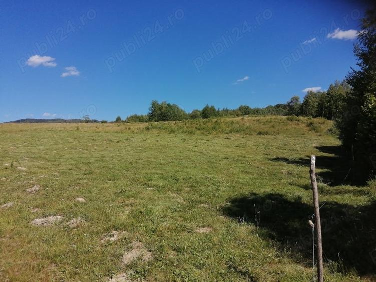 Teren de 20000 mp, în Ciucea