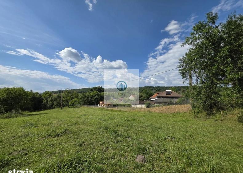 Teren agricol extravilan de 2340 mp, în Șoimuș