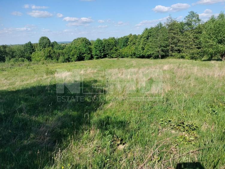 Teren Construcții extravilan de 5000 mp, în Vicovu de Jos