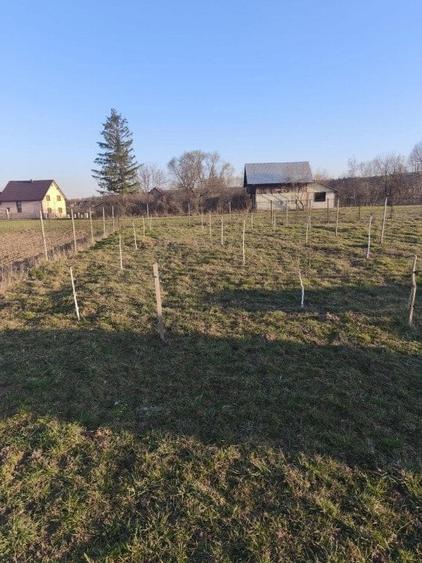 Casă cu Teren 2500 Mp în Marginea
