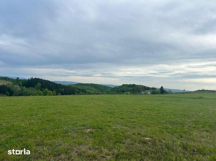 Teren de 11290 mp, în Meseșenii de Jos