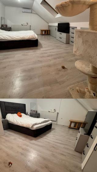 Apartament cu 2 camere decomandat în Găvana