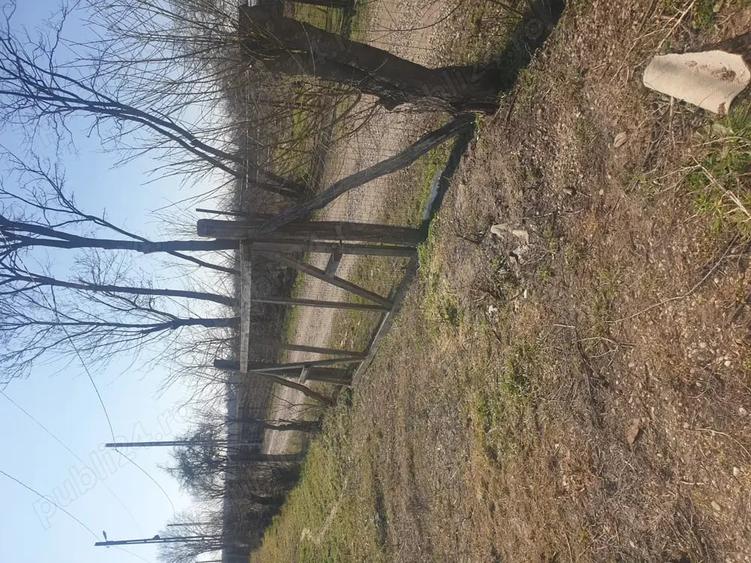 Teren de 700 mp, în Bolovani