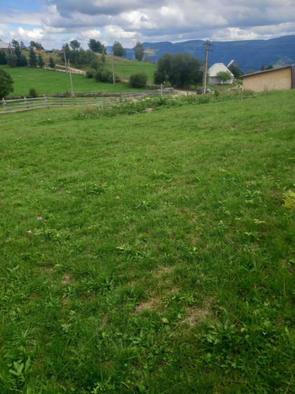 Casă cu 2 camere în Măguri