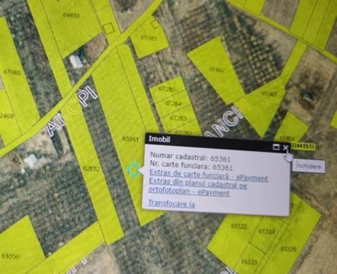 Teren intravilan 5.050 mp Tomesti Chicerea | P+2E | casa sau parcelare - 4