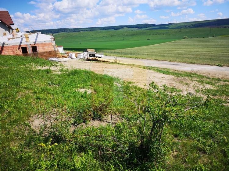 Teren Construcții intravilan de 650 mp, în Calea Romanului