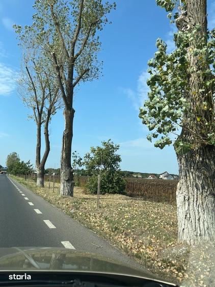 Teren de 3700 mp, în Central