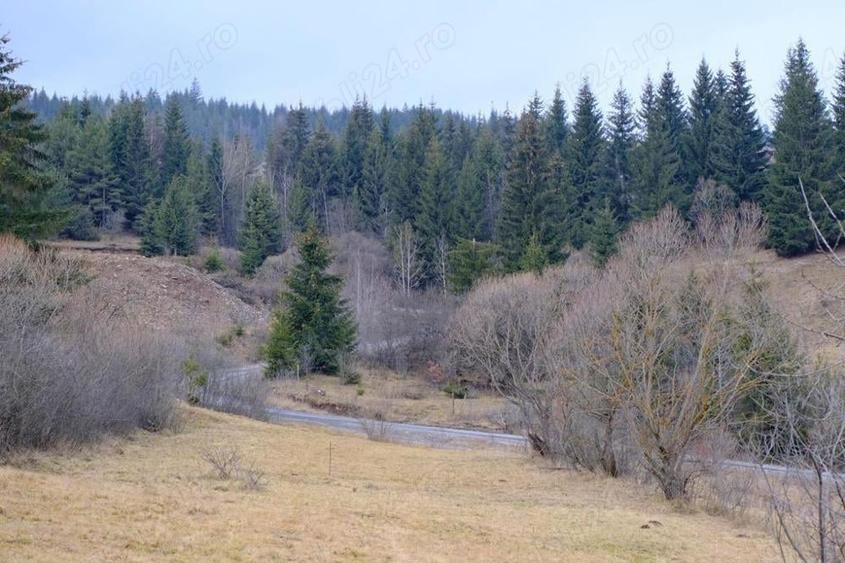 Teren de 5814 mp, în Călimănel