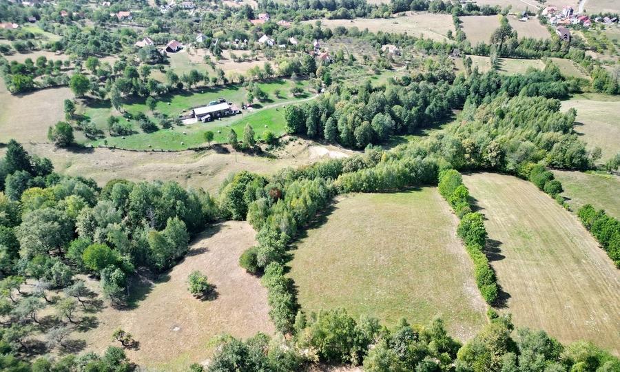 Teren Construcții intravilan de 10000 mp, în Sohodol