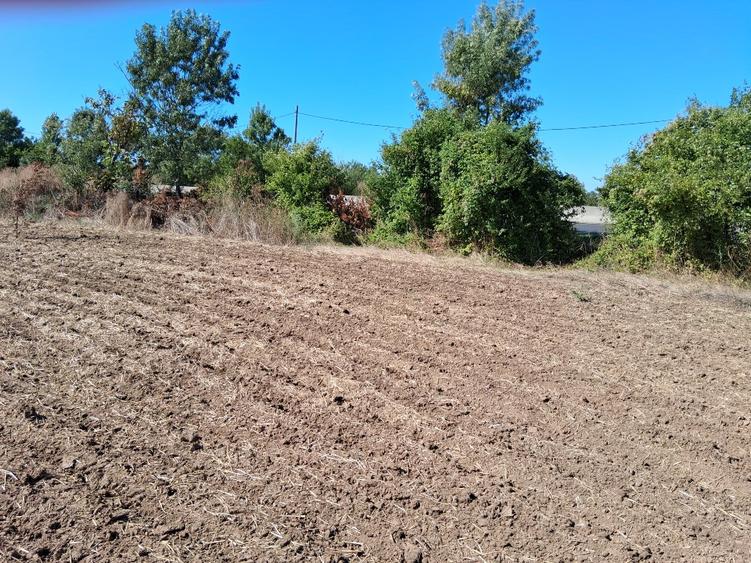 Teren Construcții intravilan de 4998 mp, în Gorgota