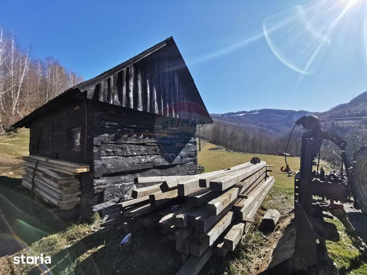 Teren de 10100 mp, în Bulz