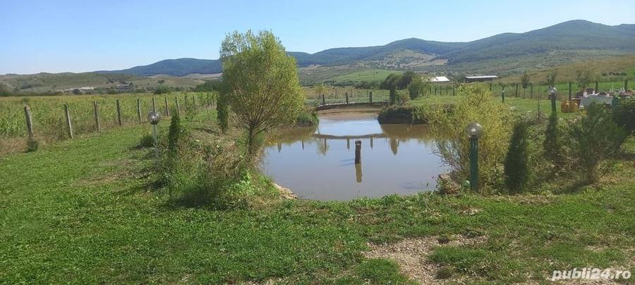 Casă cu 6 camere în Herina