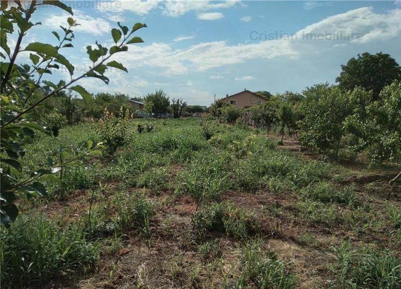 Teren 1750 mp, zona Cazasu - 2