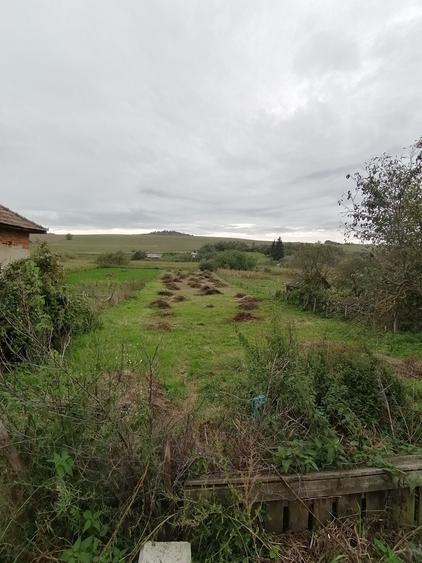 Teren de 1700 mp, în Florești