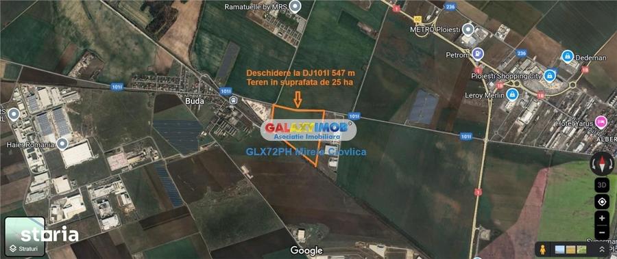 Vanzare teren intravilan Paulesti Prahova cu PUZ - 4