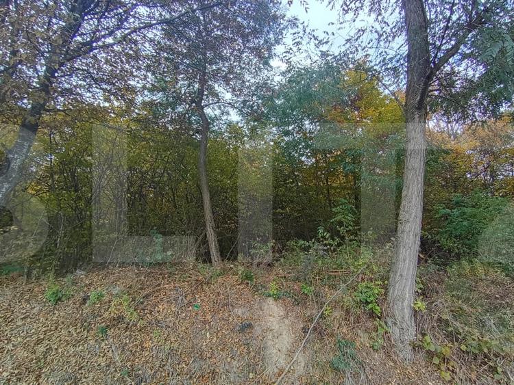 Teren extravilan de 1256 mp, în Ciurila