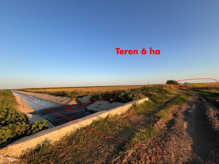 Teren agricol extravilan de 120000 mp, în Vlad Țepeș