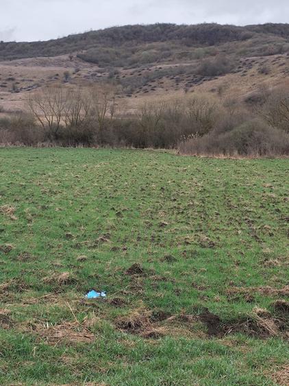 Teren agricol extravilan de 1300 mp, în Giula