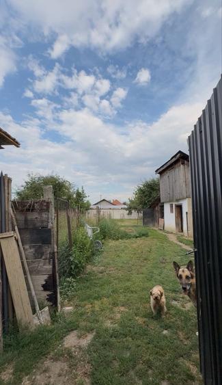 Casă cu 3 camere în Central