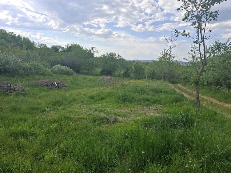 Teren de 1300 mp, în Poplaca