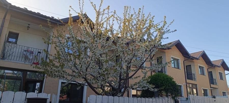 Casă cu 3 camere cu Teren 150 Mp în Valea Lupului